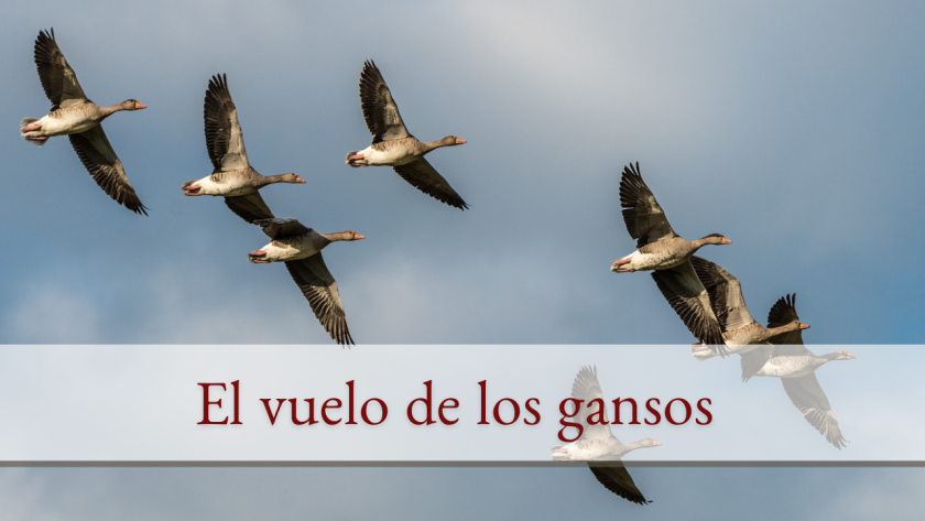 El vuelo de los gansos - Basílica Menor del Señor de los Milagros de Buga