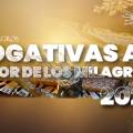 Boletín 02 Rogativas al Señor de los Milagros  “7 años de espera”